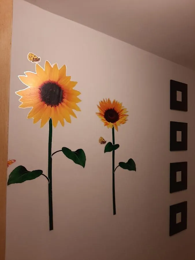 Apartman Voeroesmarty Hungary